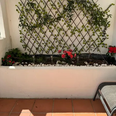 아파트 Costalita Dreams